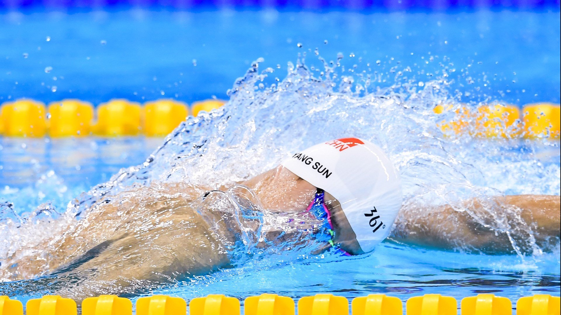 中国乒乓队大换血,新一代选手崭露头角,乒乓中国队队员